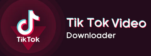 How to Download TikTok Video in High Resolution