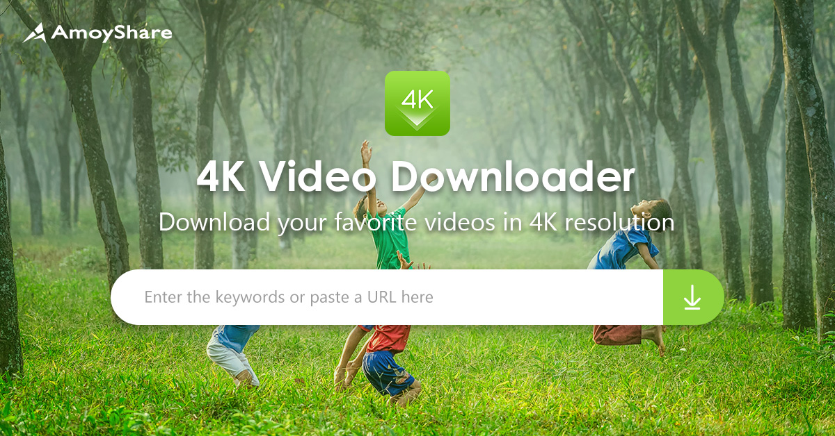 7 Quick Fixes to 4K Video Downloader Can't Parse This Link