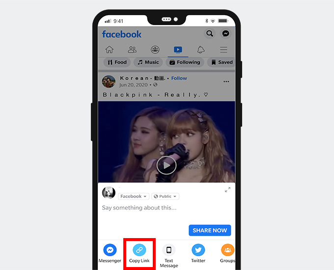 download facebook video from link