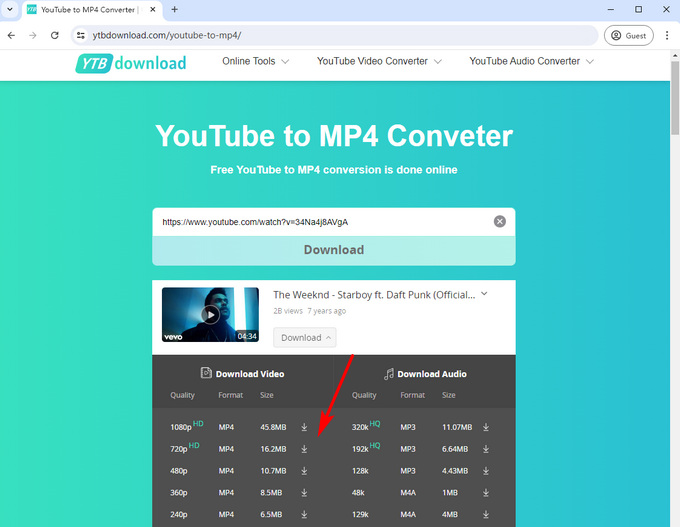 Converti YouTube in MP4